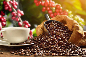 Vietnam’s coffee exports hoped to earn over US$4 billion this year