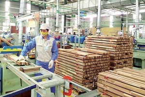 Gia Lai to build wood processing industry on solid foundation 