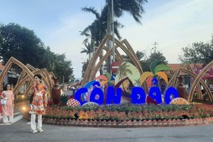 Con Dao District requests to save electricity during high tourism season