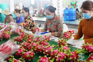 Poor infrastructure for storage leads to post-harvest loss