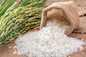 PM urges to boost rice production and export 