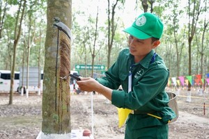 Rubber exports decrease due to demand decline in first 6 months