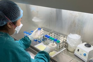 Ministry asks to check labs countrywide 