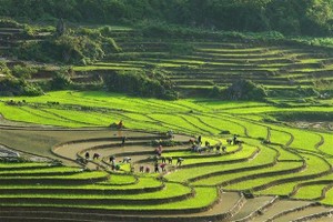 Vietnamese, Chinese localities foster tourism cooperation 