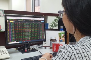 South Korean investors gain interest in VN stock market