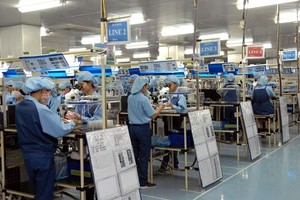 Record number of new firms seen in eight months 