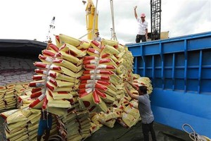 Vietnam-Indonesia trade expected to exceed US$15 billion soon