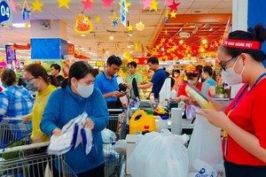 Domestic economic export grows higher than FDI