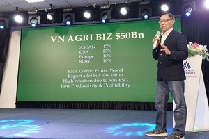 Singapore financial group spends US$100 million to invest in agriculture in VN