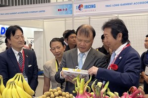 Vietnam’s export revenue to grow more: Foreign businesses