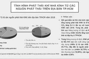 Vietnam takes steps towards net zero emissions