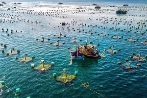 Vietnam’s aquaculture top position on world map 