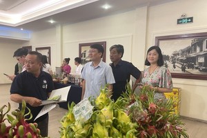 Vietnam to cultivate dragon fruit with lowest carbon footprints 