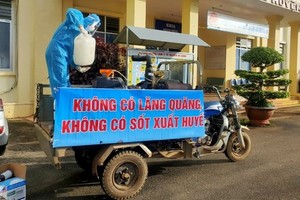 Lam Dong sounds alarm about dengue development 