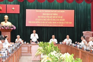 HCMC greatly contributes to socialist-oriented market economic institution 