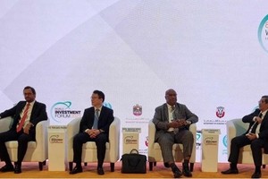 Vietnam actively joins eighth World Investment Forum 