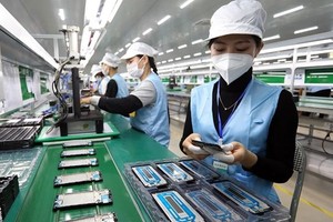 Vietnam seeks stronger trade, investment ties with French region