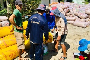 Rice exporters need to maintain stable supply to curb manipulation by traders