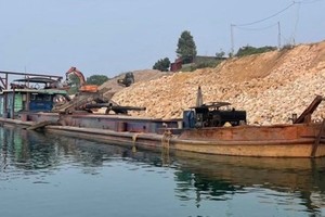 PM requires stronger management of mining right-related auctions