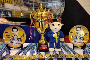 7th World Vovinam Championship opens in HCMC