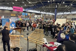 Vietnamese culture spotlighted at Asian fair in France