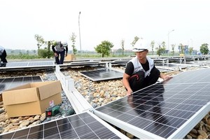 Vietnam shows strong political commitment to maximising green energy transition