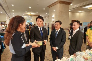 HCMC Vice Chairman calls on Hyogo Prefecture investors' investment