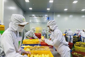 Fruit and vegetable export value increases with 40 percent of durian exports