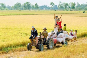 Emergence of new generation of rich farmers