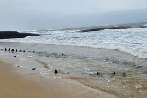Quang Nam authorities undertaking protective measures for ancient shipwreck