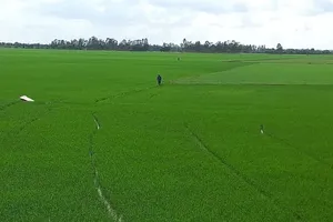 Projects contribute to Vietnamese agriculture’s sustainable development