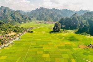 Vietnam eyes improvement in global tourism development rankings