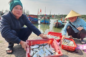 Fishermen in Ha Tinh enjoy bumper hauls on the first trip after Tet