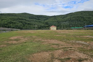 Around US$15 million energy pellet project still on paper