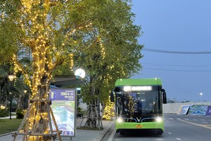 Vietnam strives to reduce emissions in transportation