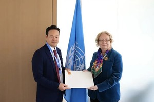 Vietnam wants to continue promoting cooperation with UN: Diplomat