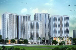 Ministry invalidates proposal to limit maximum sale of 5 houses annually