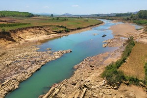 Crippling drought ravages Central Highlands provinces