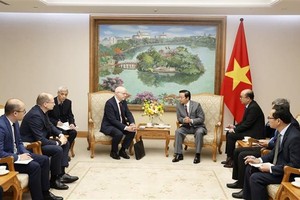 Vietnam facilitates coal-to-gas transition projects: Deputy PM