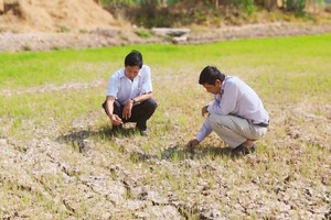 Slow adaptation to climate change results in serious consequences