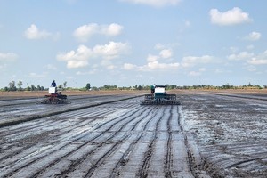 Vietnam kicks off low-carbon and high-quality one hectare rice field project