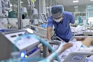 Health Ministry leader says it hard to control bird flu outbreak 