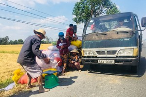 Appropriate policies needed for harmonized interests between farmers, businesses