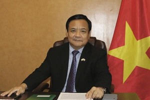Vietnam, Brazil enjoy strong trust, substantive cooperation: Diplomat