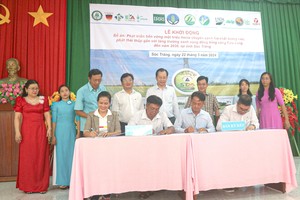 Soc Trang kicks off sustainable high-quality rice project