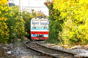 Campaign to plant flower trees along streets on both sides of railways launched