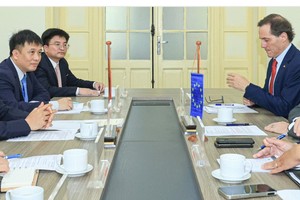 European Union to support Vietnam's green transition in transport sector