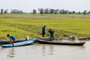 Mekong Delta lacks high-quality human resources 