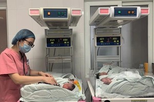 Low birth rate, rapid population aging seen in HCMC