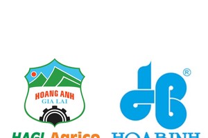 Compulsory delisting of shares HBC, HNG following consecutive losses 